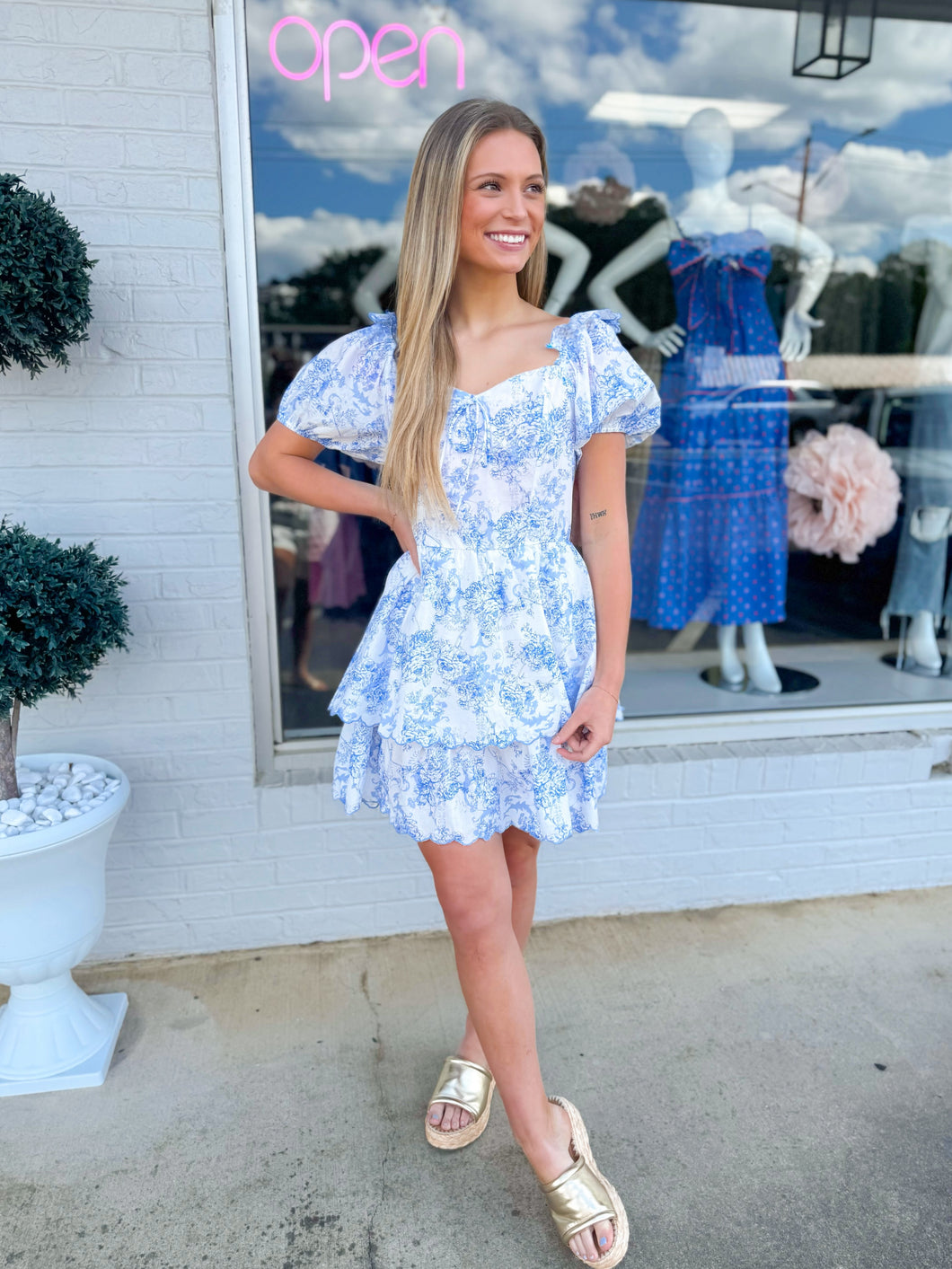 Fairy Tale Dress