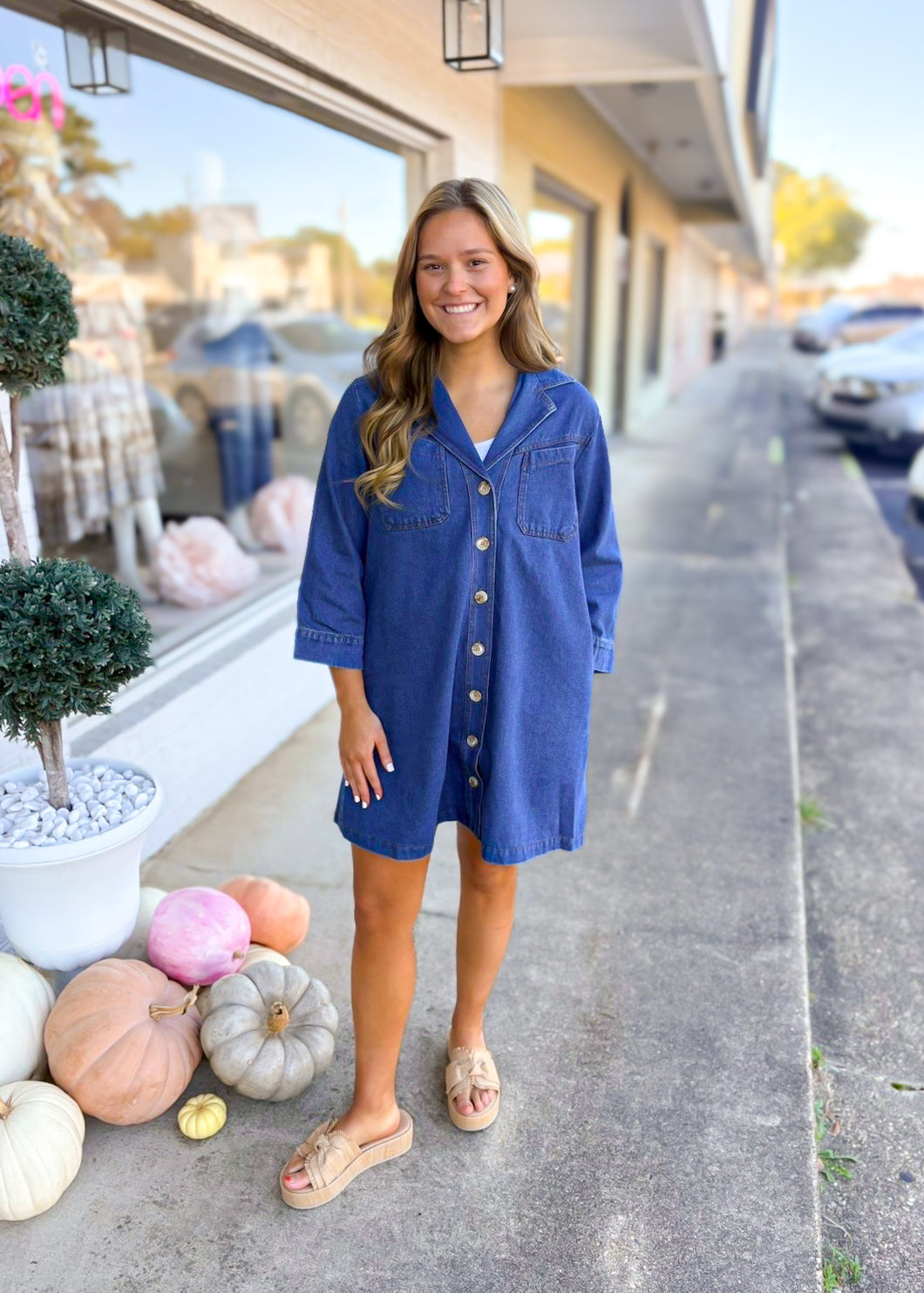 Dark Denim Dress