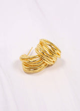 Load image into Gallery viewer, Newton Hoop Earring
