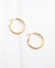 Load image into Gallery viewer, Abasi Textured Hoop
